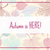 Five Autumn 2018 Trends You NEED to Know