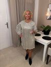Shakira Sequin Dress
