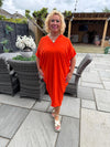 Sophie V Neck Dress